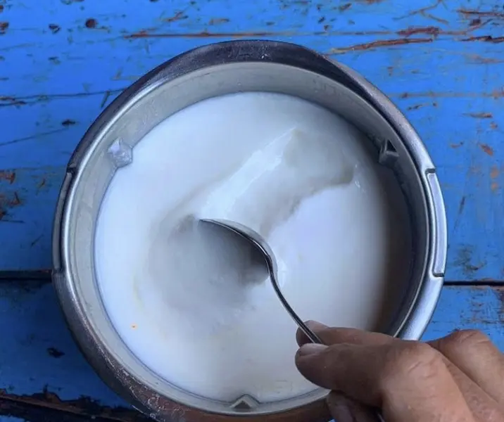 Yogurt natural con mix de berries thermomix