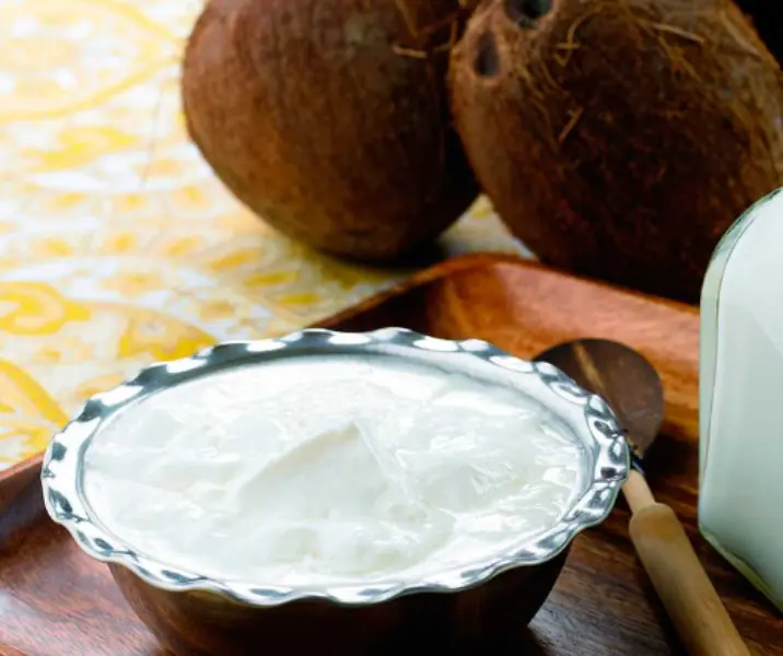 Yogurt natural de coco thermomix