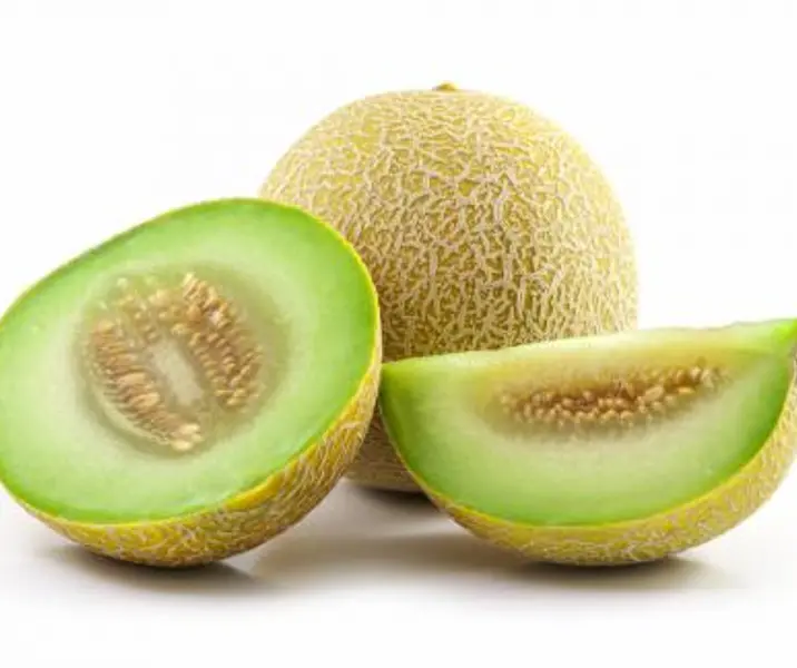 Melón tuna maría ayuda