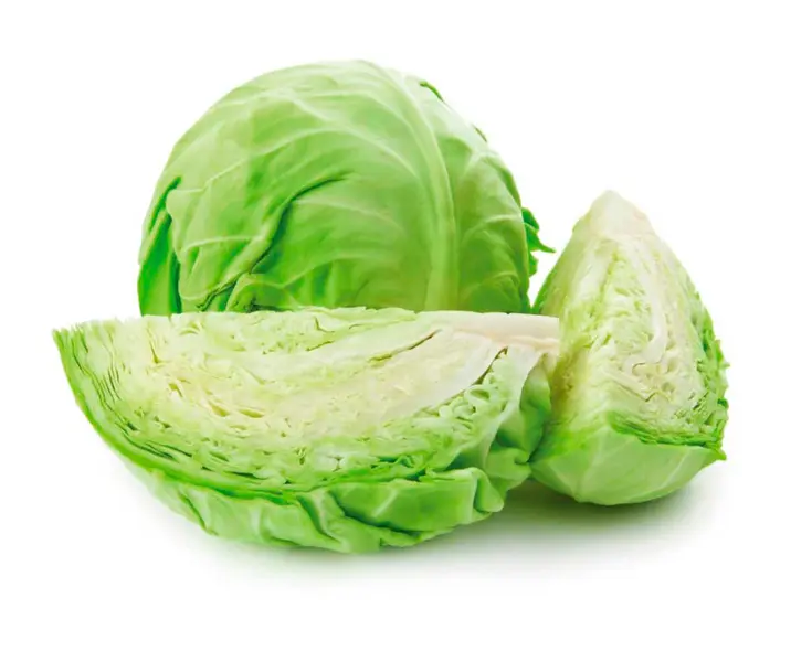 Repollo blanco maría ayuda