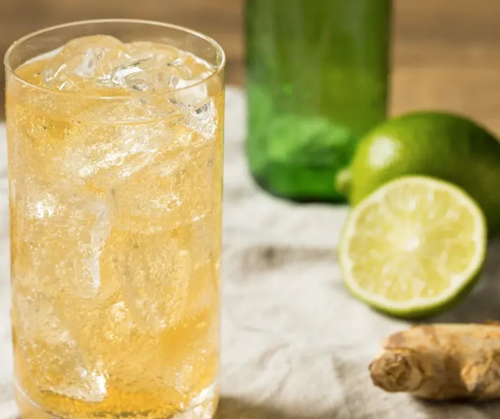 Ginger ale sin azúcar