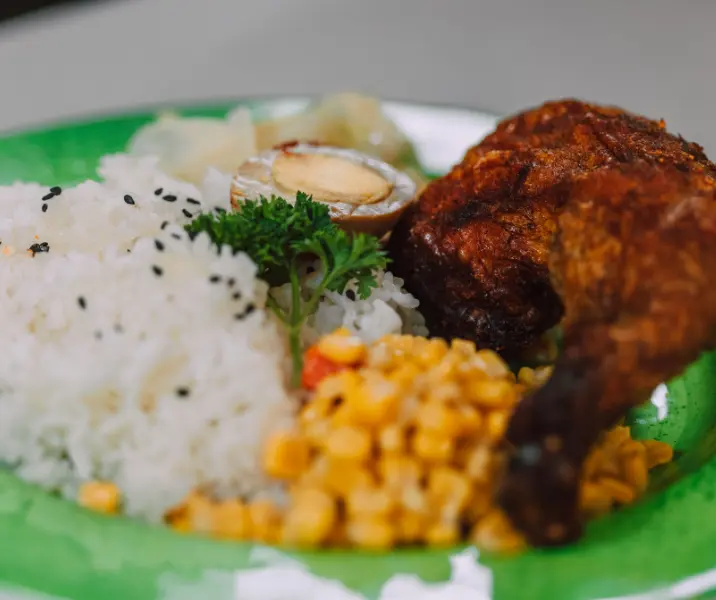 Punta de ganso al horno con arroz sin gluten