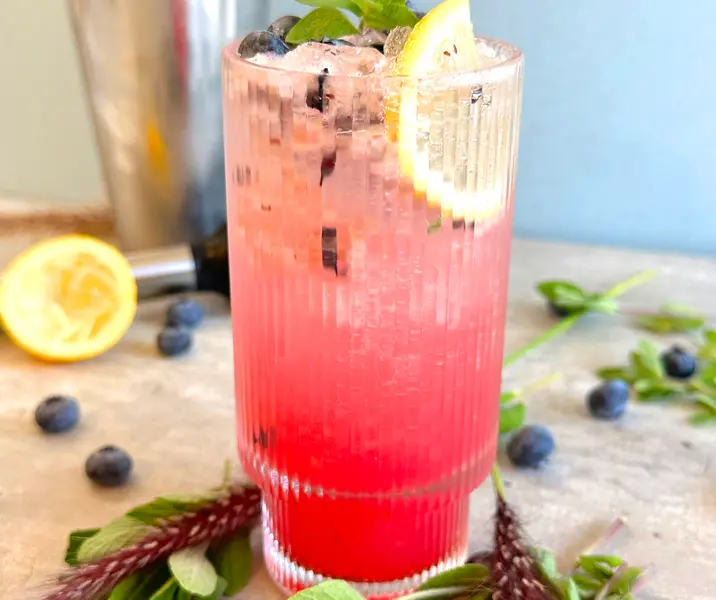 Mocktail mojito de arándano