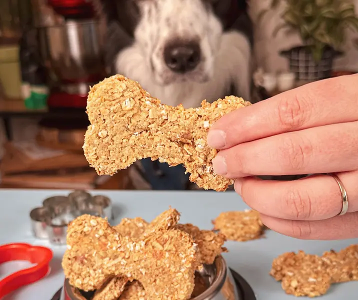 Galleta de manzana para perros
