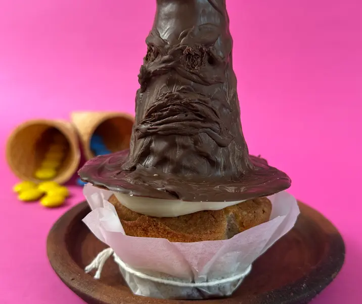 Sombrero seleccionador harry potter