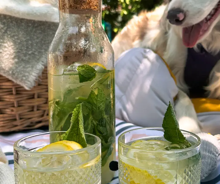 Limonada menta